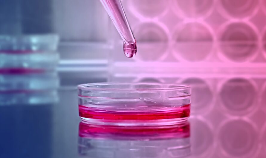 Global Primary Cell Culture Market is Estimated to Witness High Growth Owing to Increasing Demand for Omics Research