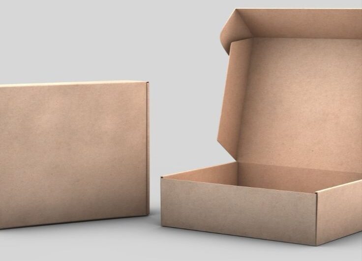 Mailer Packaging: Ensuring Safe and Reliable Delivery Top Courier Companies Implement Advanced Security Measures