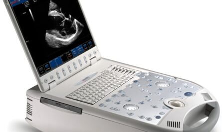 Portable Ultrasound Bladder Scanner Market