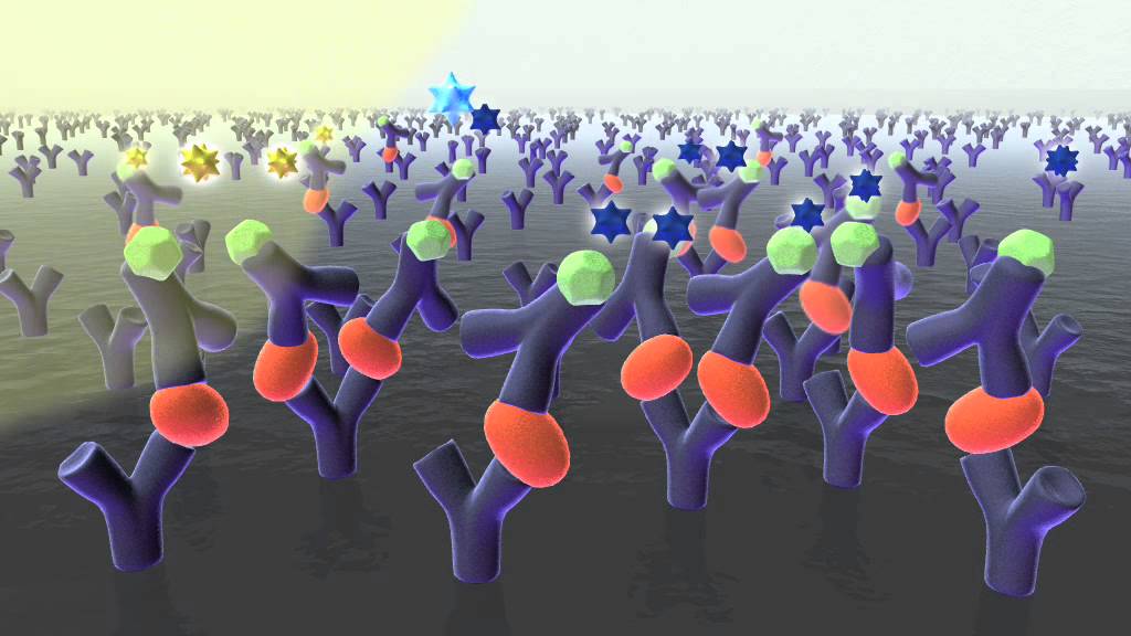 Radioimmunoassay Market